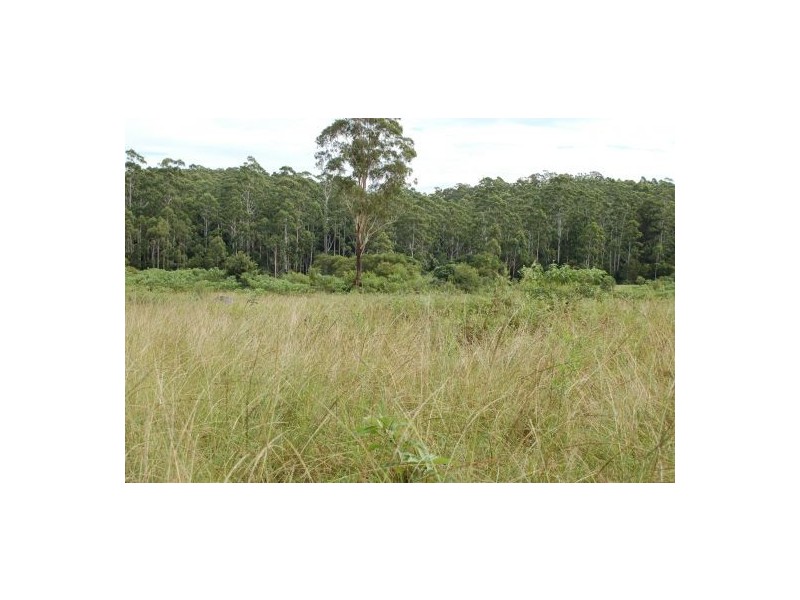Lot 121 Searles Road, Tamban NSW 2441