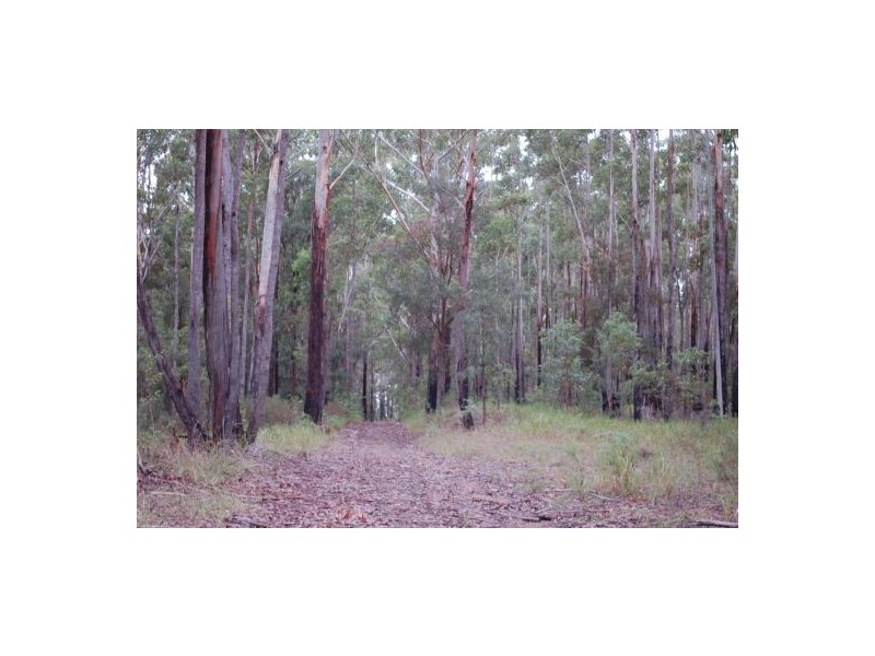 Lot 121 Searles Road, Tamban NSW 2441