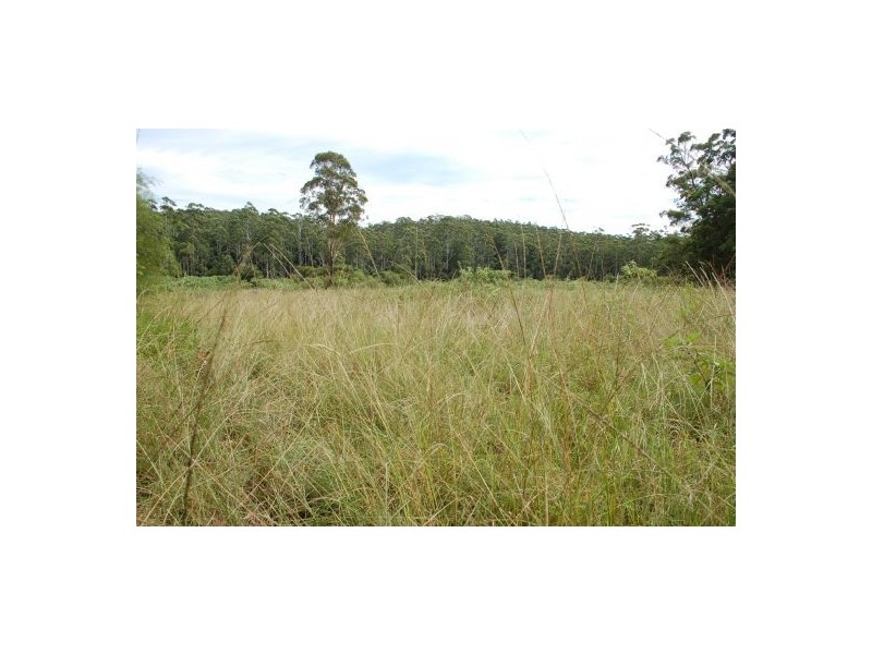 Lot 121 Searles Road, Tamban NSW 2441