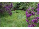 25 Zutano Close, Valla NSW 2448