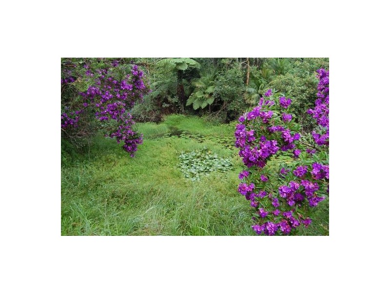 25 Zutano Close, Valla NSW 2448