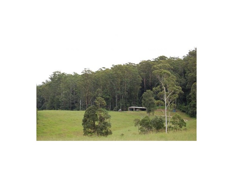 316 Bellingen Road, Bowraville NSW 2449