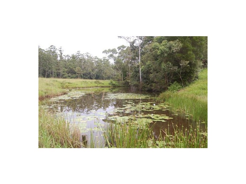 316 Bellingen Road, Bowraville NSW 2449