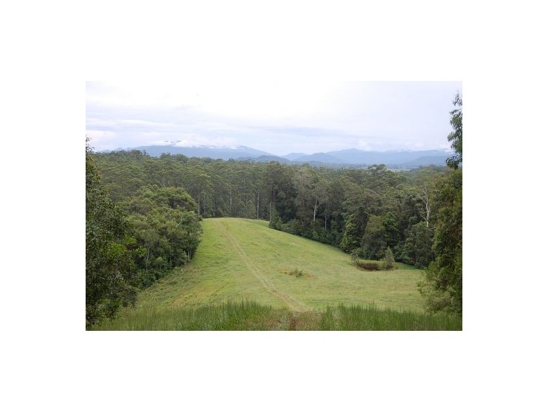 316 Bellingen Road, Bowraville NSW 2449