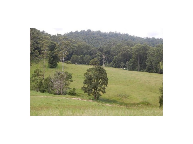 316 Bellingen Road, Bowraville NSW 2449