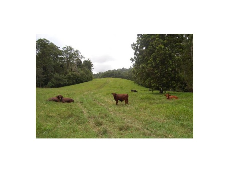 316 Bellingen Road, Bowraville NSW 2449