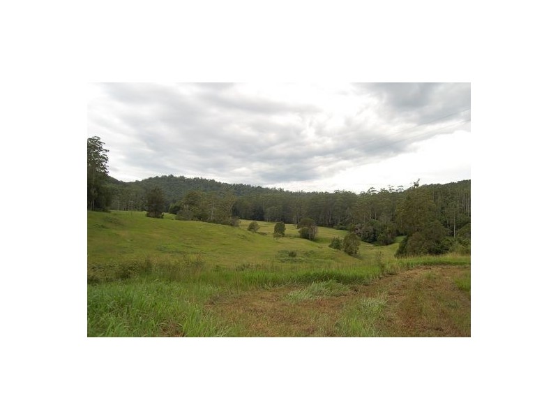 316 Bellingen Road, Bowraville NSW 2449