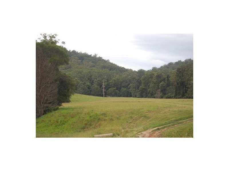 316 Bellingen Road, Bowraville NSW 2449