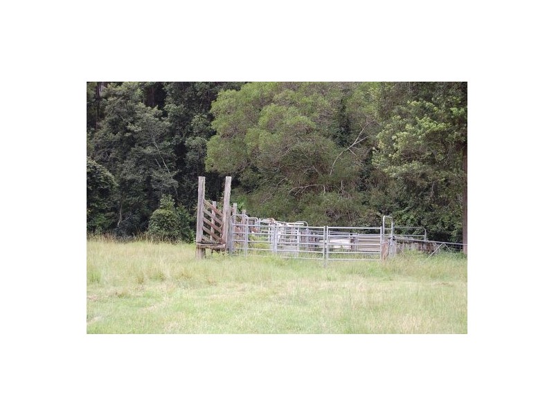 316 Bellingen Road, Bowraville NSW 2449