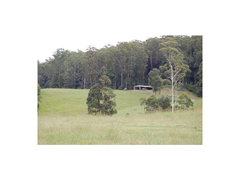 316 Bellingen Road, Bowraville NSW 2449