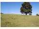 360 Upper Warrell Creek Road, Warrell Creek NSW 2447
