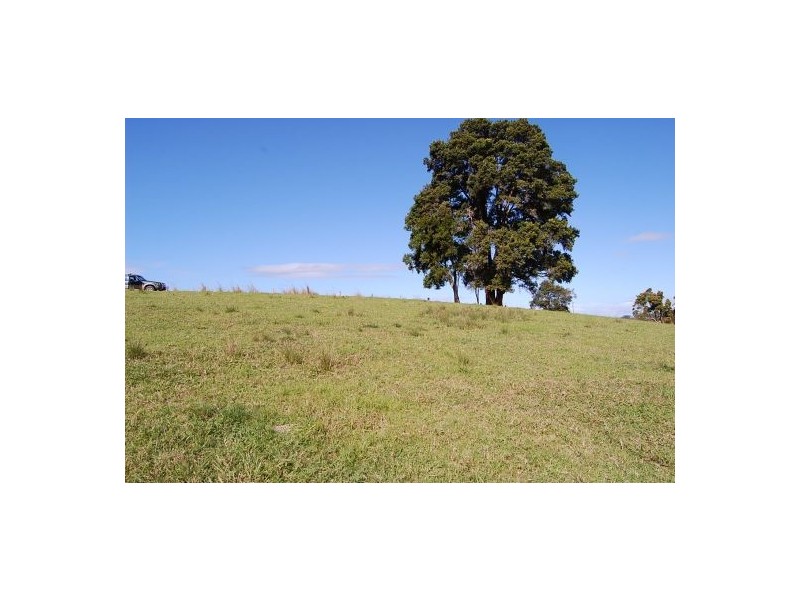 360 Upper Warrell Creek Road, Warrell Creek NSW 2447