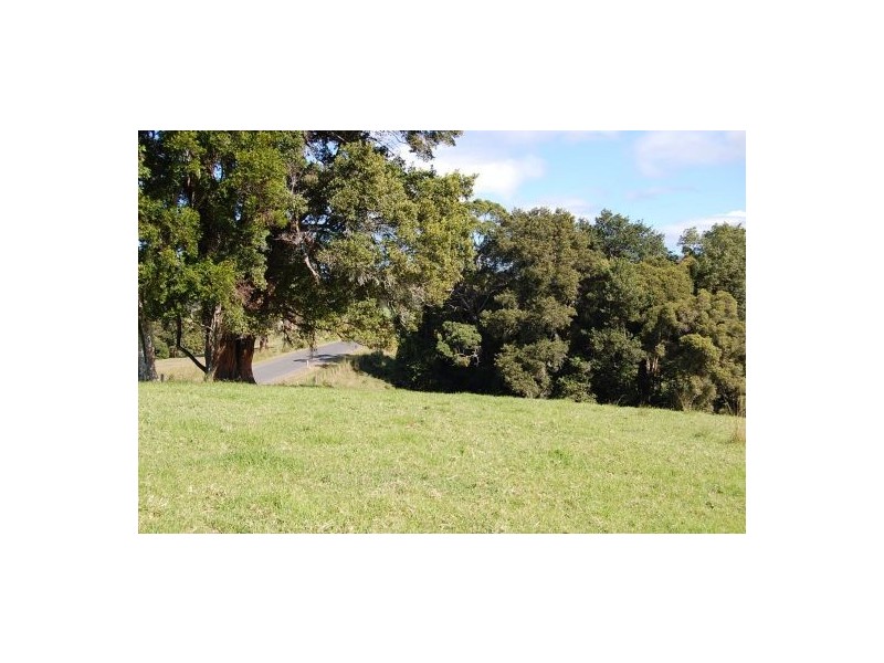 360 Upper Warrell Creek Road, Warrell Creek NSW 2447