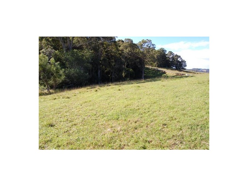 360 Upper Warrell Creek Road, Warrell Creek NSW 2447