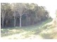 360 Upper Warrell Creek Road, Warrell Creek NSW 2447