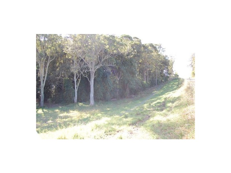 360 Upper Warrell Creek Road, Warrell Creek NSW 2447
