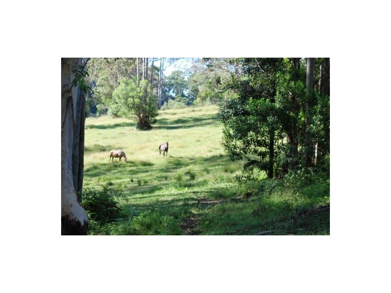 100 Camp Creek Road, Lowanna NSW 2450