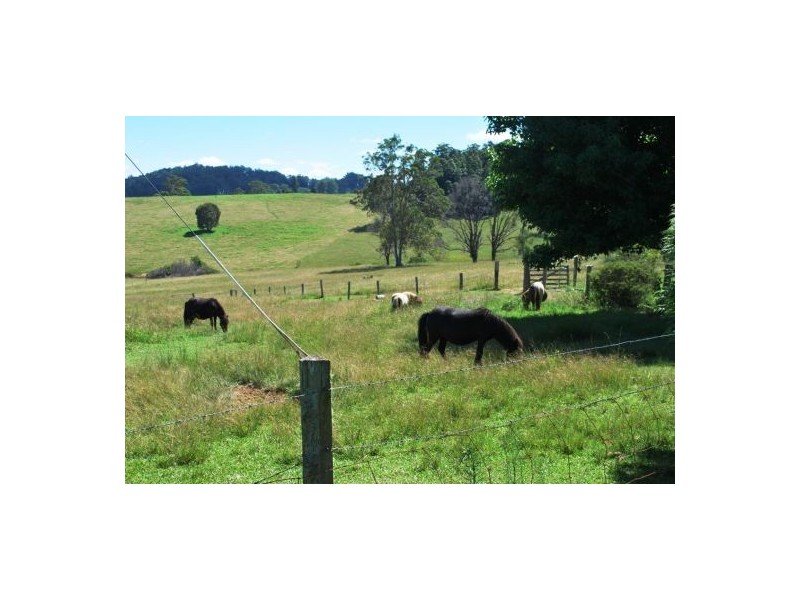 100 Camp Creek Road, Lowanna NSW 2450