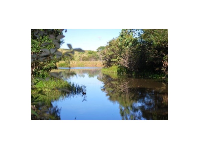 100 Camp Creek Road, Lowanna NSW 2450