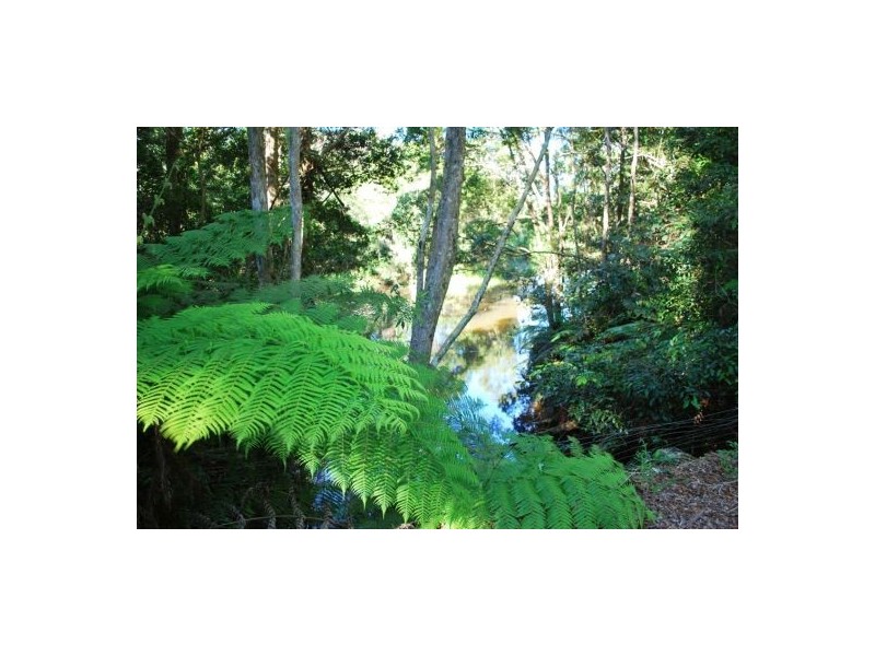 100 Camp Creek Road, Lowanna NSW 2450