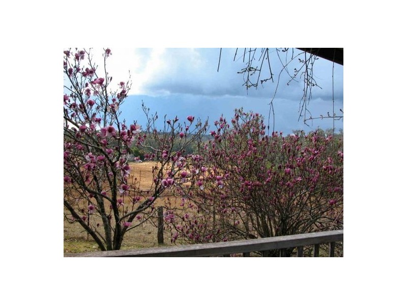 886 Camp Creek Road, Lowanna NSW 2450