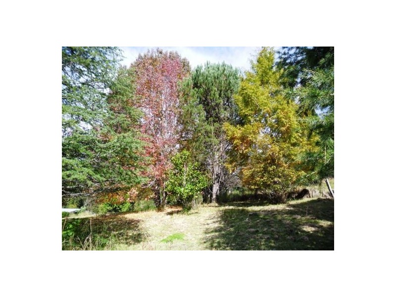 886 Camp Creek Road, Lowanna NSW 2450