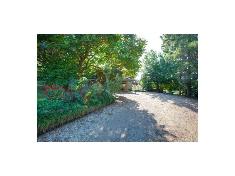 12 Mahers Lane, Bellingen NSW 2454