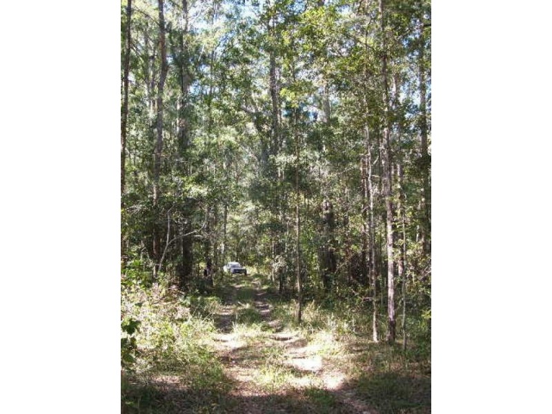 Lot 4 North Congarinni Road, Macksville NSW 2447