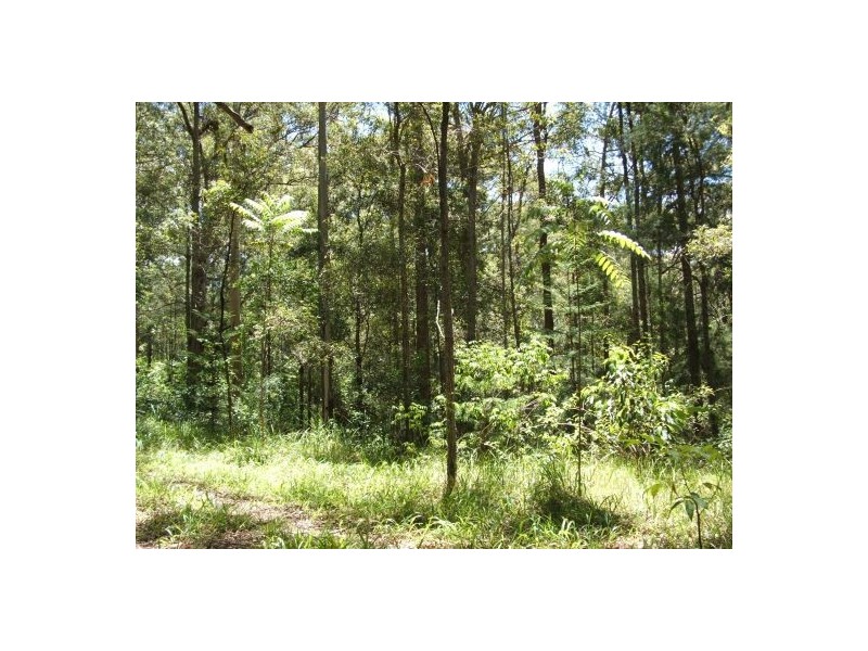Lot 4 North Congarinni Road, Macksville NSW 2447