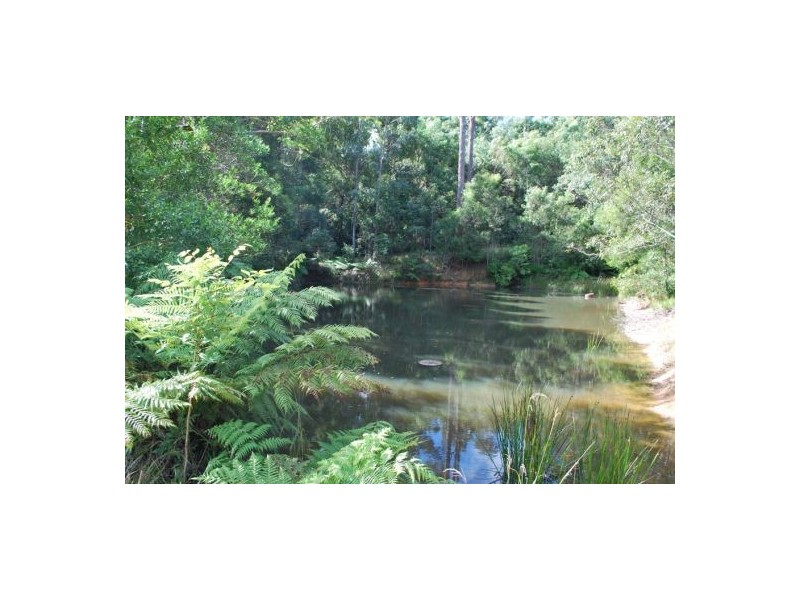 203 Moleton Road, Lowanna NSW 2450