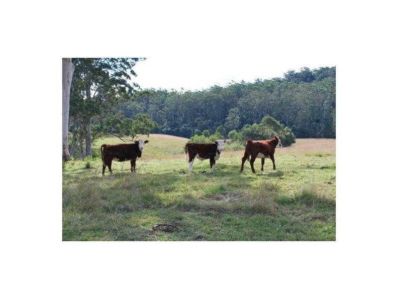 Lot 12 Mole Creek Road, Lowanna NSW 2450