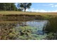 Lot 12 Mole Creek Road, Lowanna NSW 2450