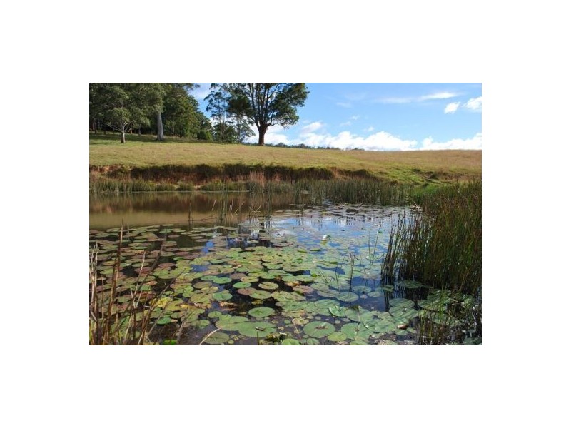 Lot 12 Mole Creek Road, Lowanna NSW 2450