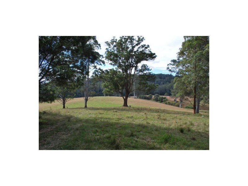 Lot 12 Mole Creek Road, Lowanna NSW 2450