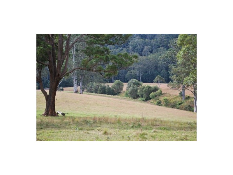 Lot 12 Mole Creek Road, Lowanna NSW 2450