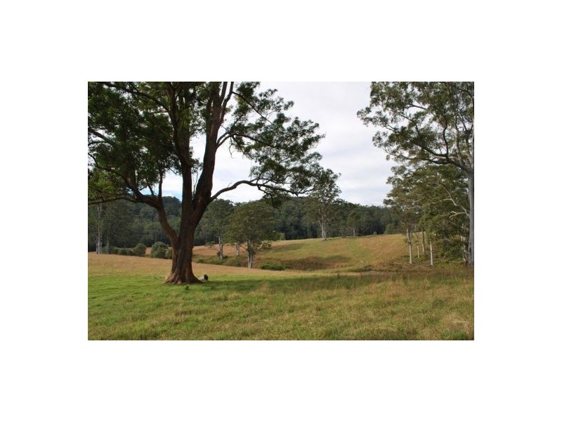 Lot 12 Mole Creek Road, Lowanna NSW 2450