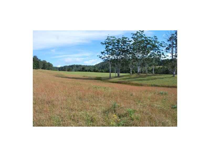 Lot 12 Mole Creek Road, Lowanna NSW 2450