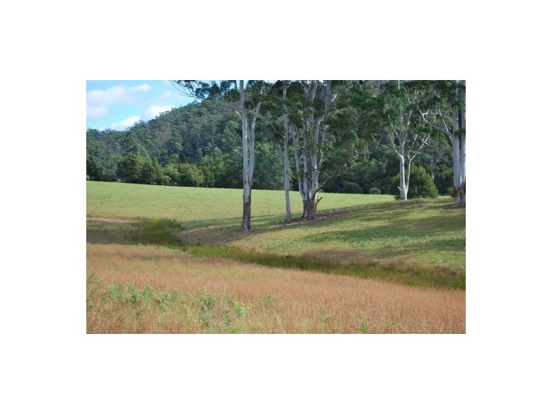 Lot 12 Mole Creek Road, Lowanna NSW 2450