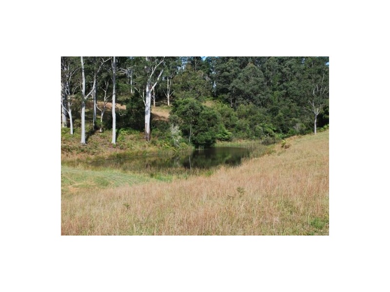 Lot 12 Mole Creek Road, Lowanna NSW 2450