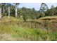 Lot 12 Mole Creek Road, Lowanna NSW 2450