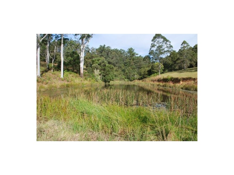 Lot 12 Mole Creek Road, Lowanna NSW 2450