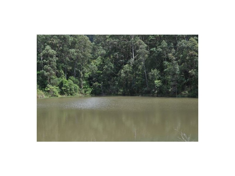 Lot 1 Newmans Road, Woolgoolga NSW 2456