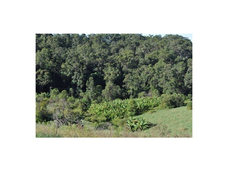 Lot 1 Newmans Road, Woolgoolga NSW 2456