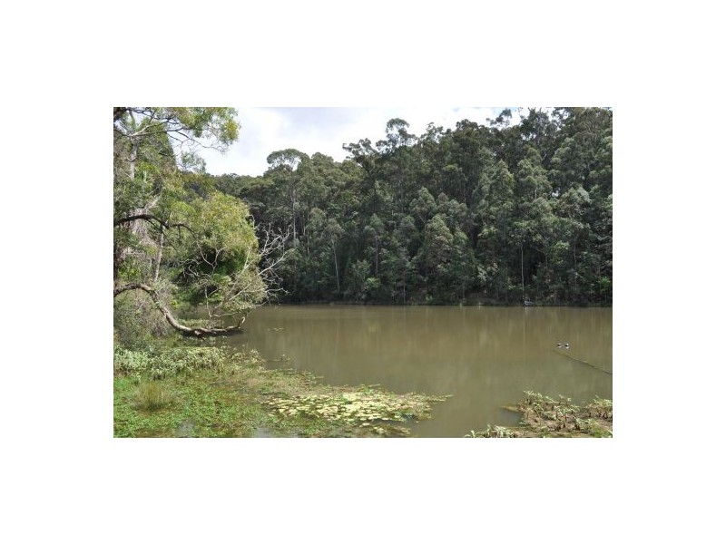 Lot 1 Newmans Road, Woolgoolga NSW 2456