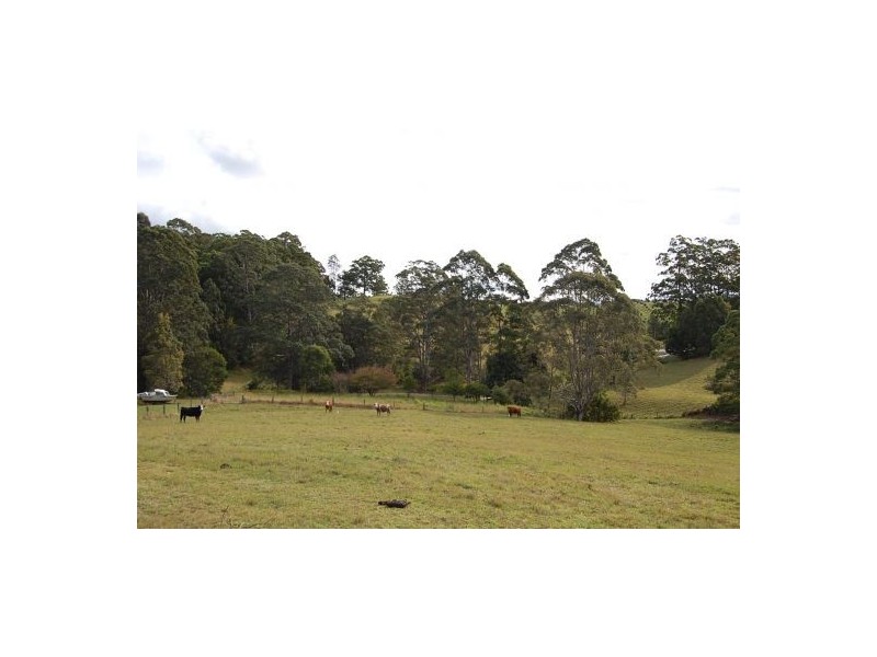 422 Congarinni Rd, South Congarinni, Macksville NSW 2447