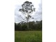 Lot 12 Pacific Highway, Allgomera NSW 2441