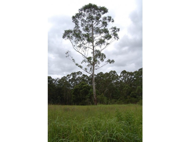 Lot 12 Pacific Highway, Allgomera NSW 2441