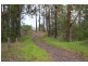 Lot 12 Pacific Highway, Allgomera NSW 2441