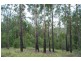 Lot 12 Pacific Highway, Allgomera NSW 2441