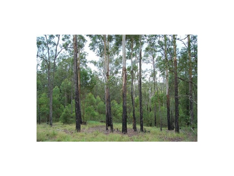 Lot 12 Pacific Highway, Allgomera NSW 2441